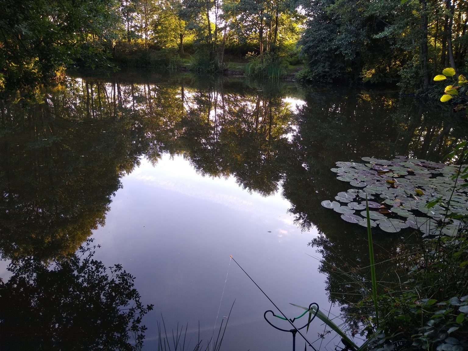  High Legh Fisheries photo 4