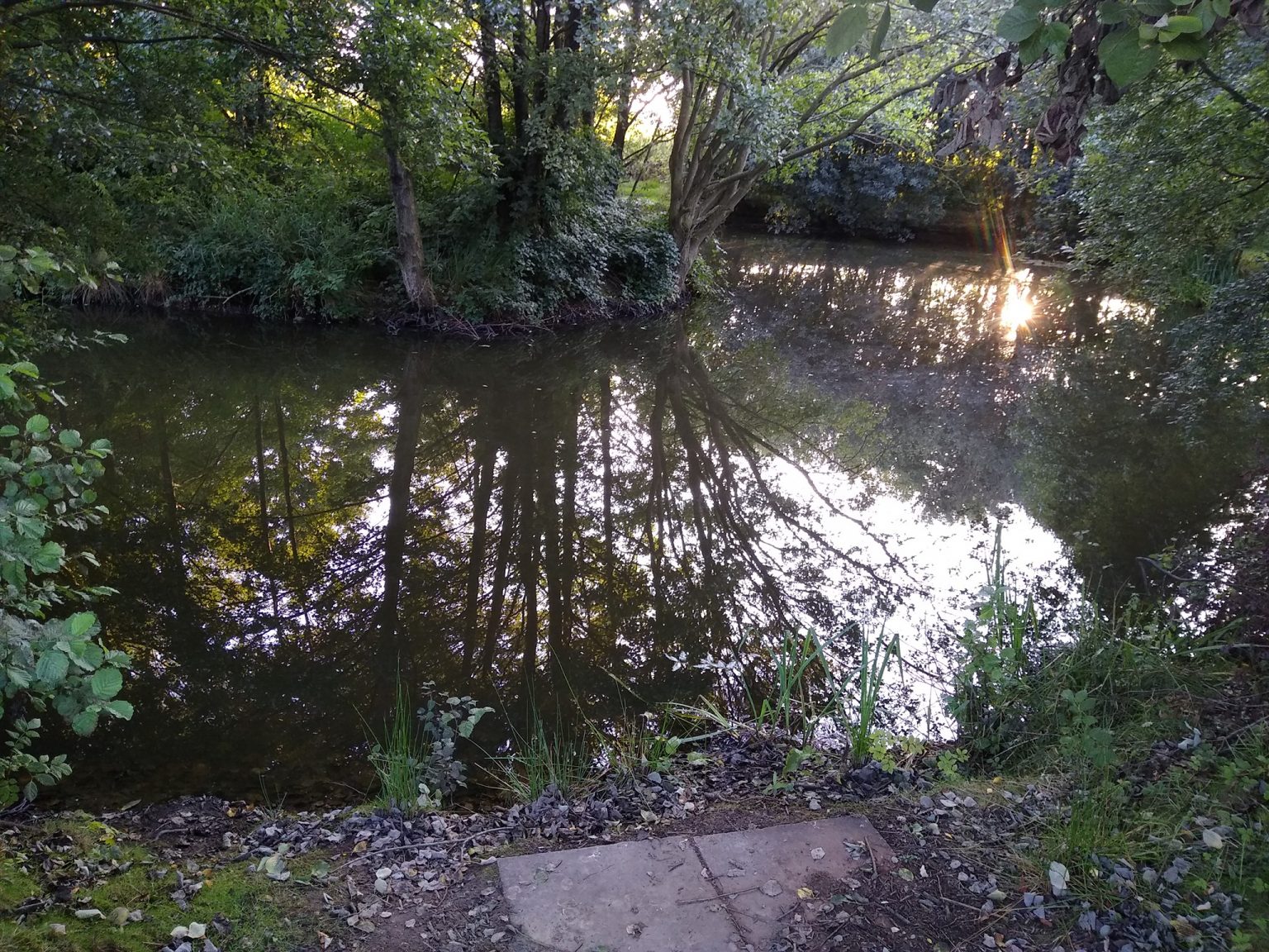  High Legh Fisheries photo 5