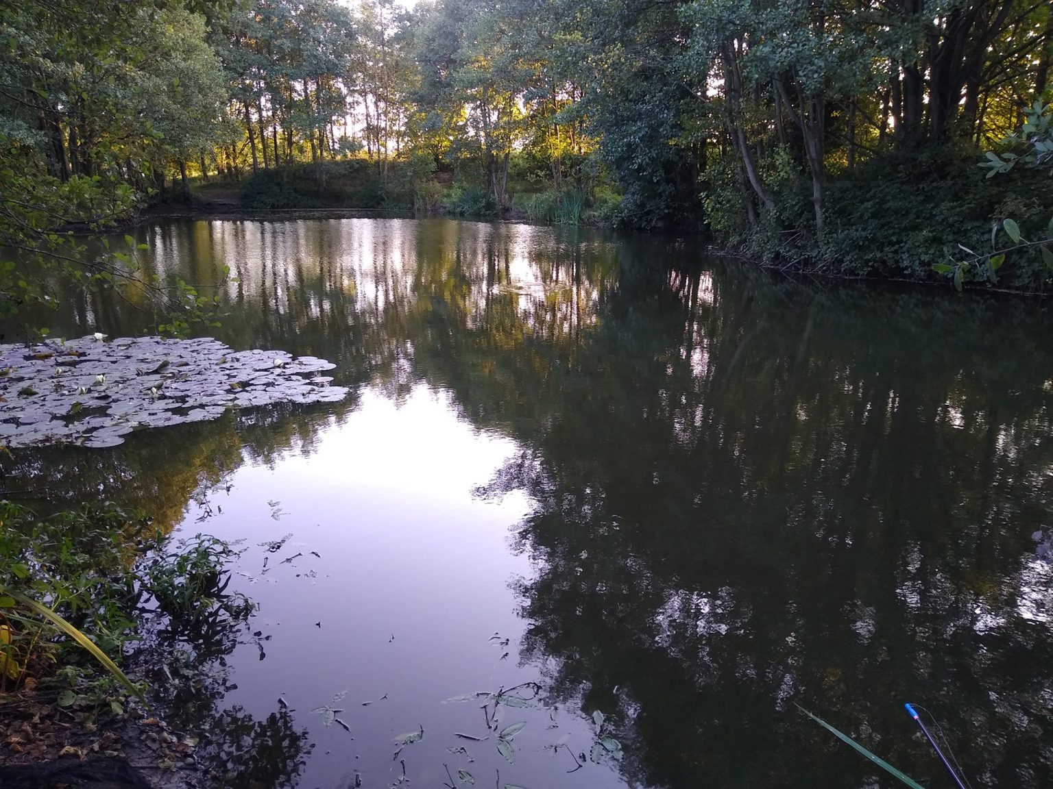  High Legh Fisheries photo 6