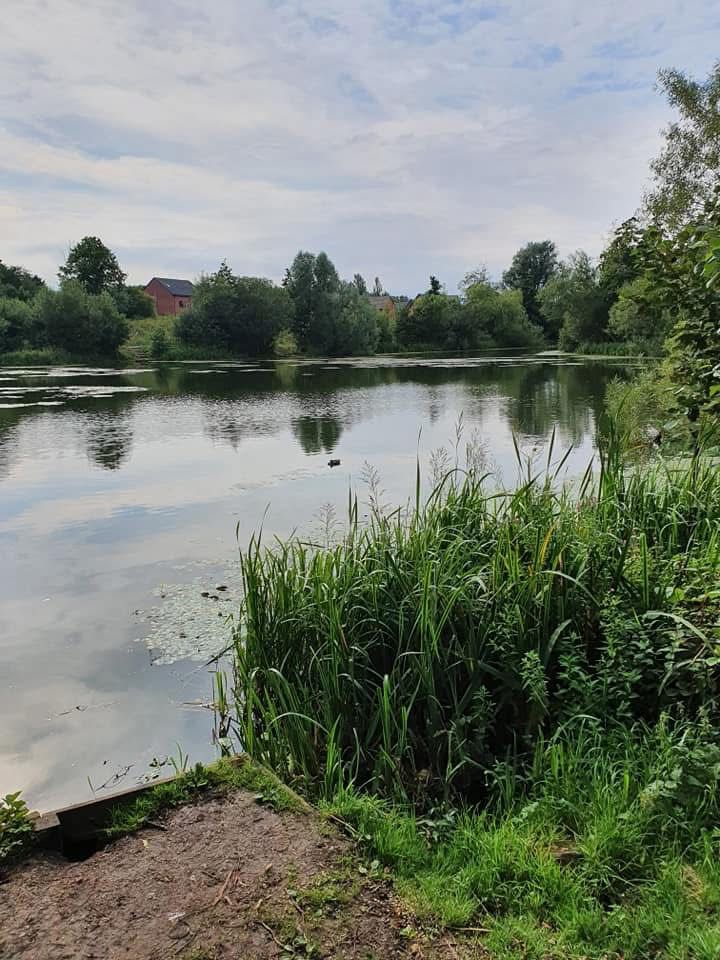 Phoenix Park Lake, Runcorn photo 7