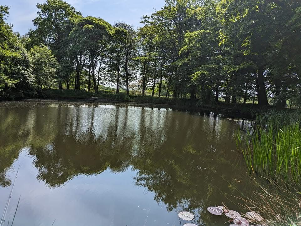 Forster’s Pools, Aspull