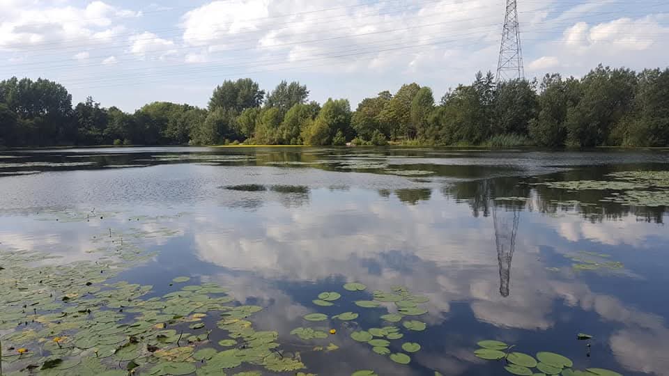 Grey Mist Mere photo 14