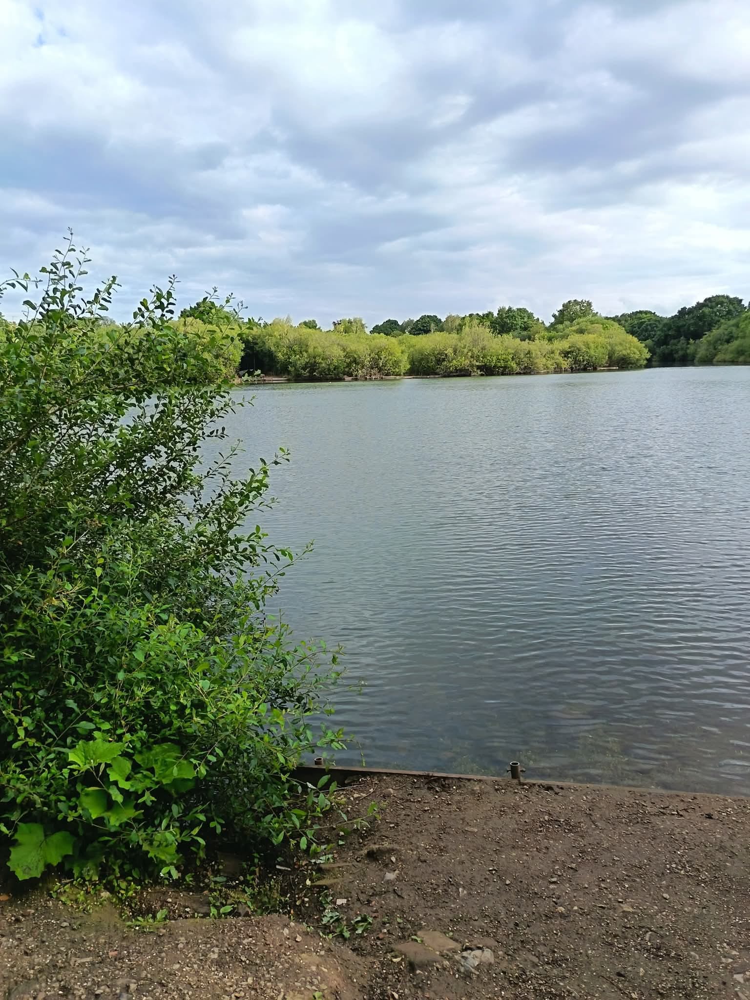  The Mount, Buckley photo 15