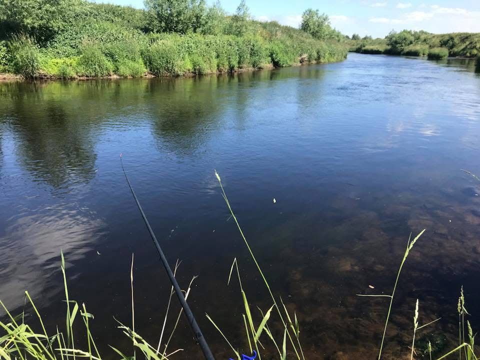 Dee - Worthenbury photo 4