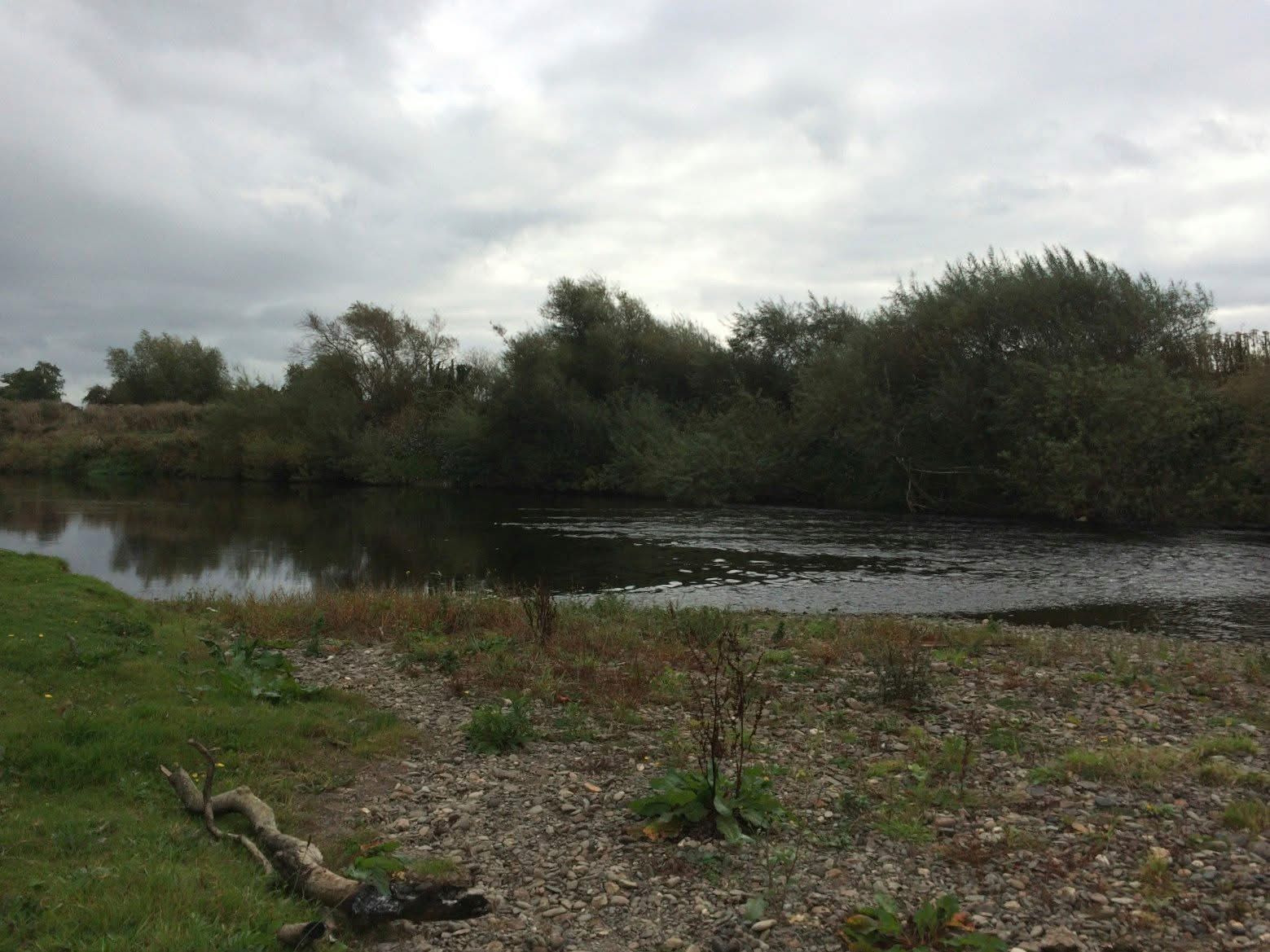 Dee - Worthenbury photo 7