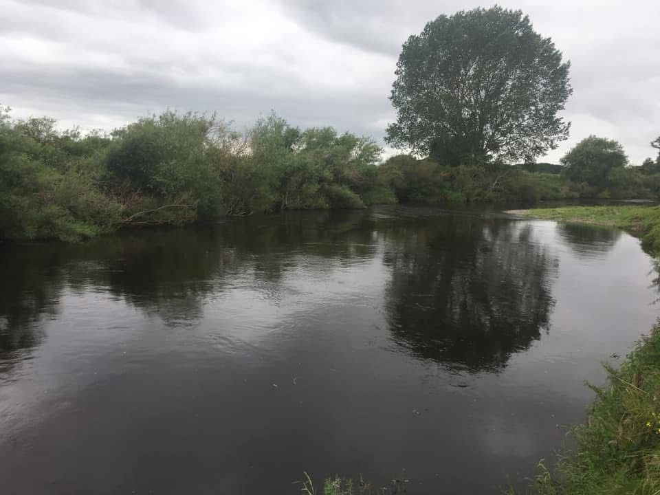 Dee - Worthenbury photo 10