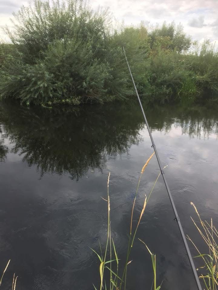 Dee - Worthenbury photo 9