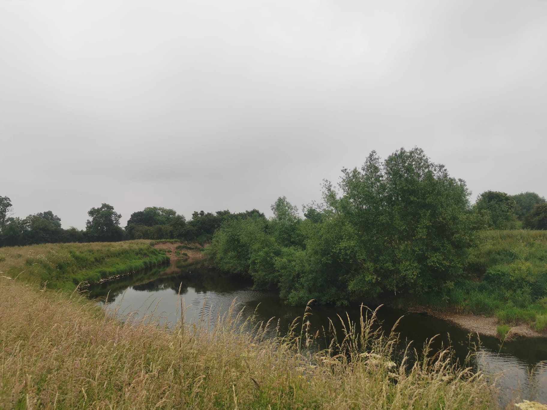 Dee - Worthenbury photo 15