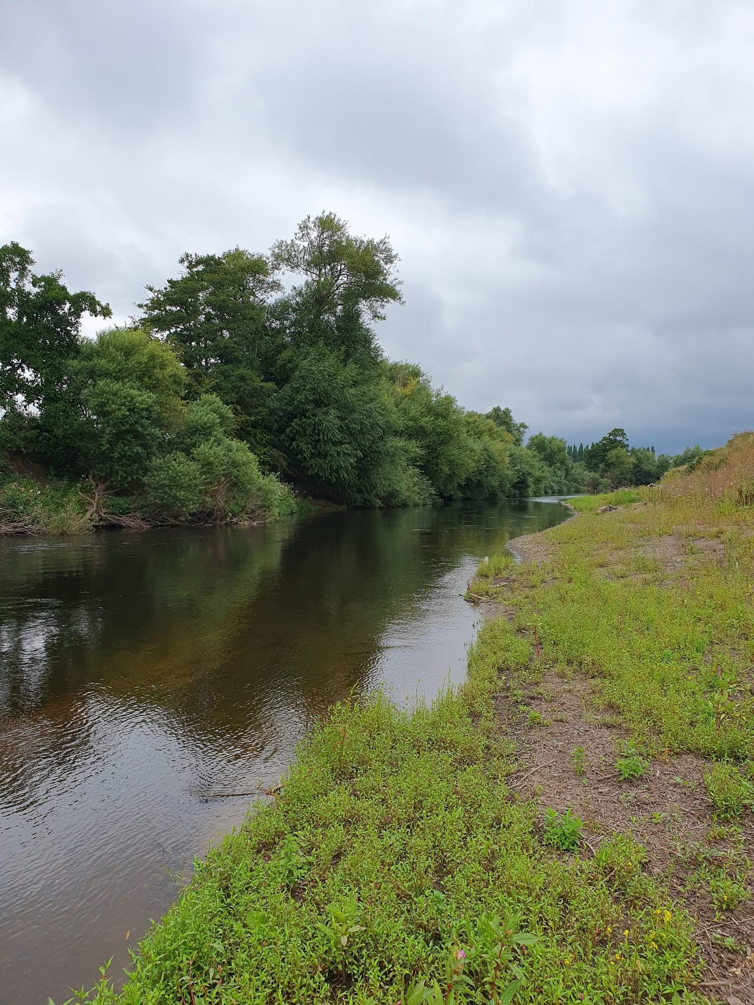 Dee - Worthenbury photo 17