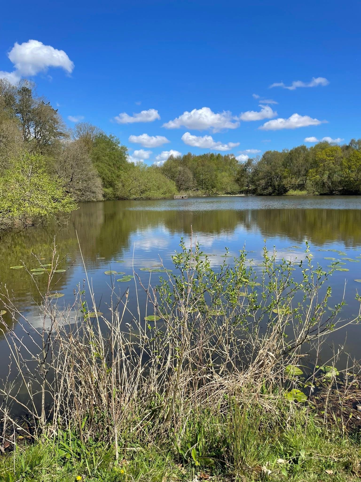  Worthington Lakes, Standish photo 12