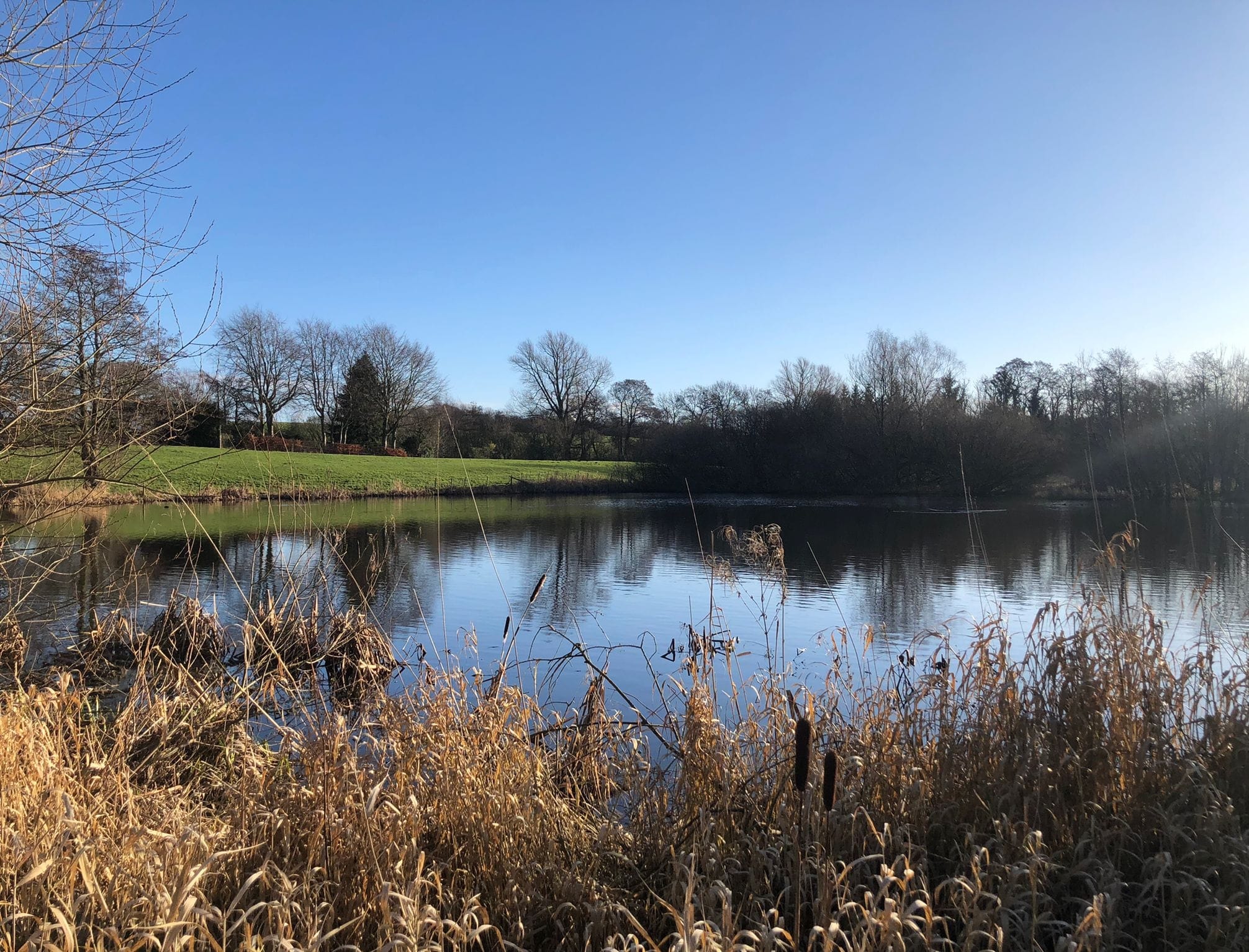 Cicely Mill Pool photo 8