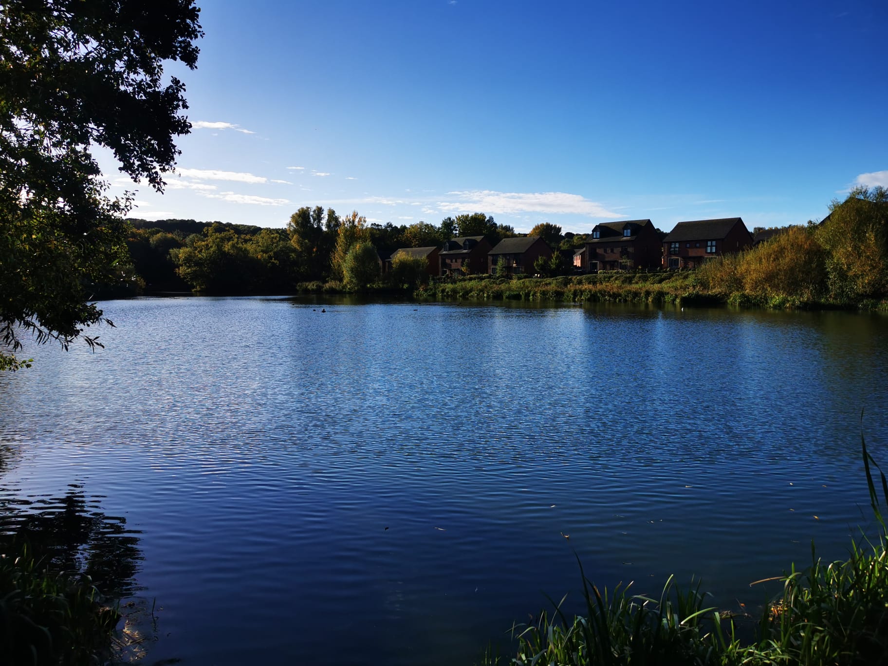 Phoenix Park Lake, Runcorn photo 9