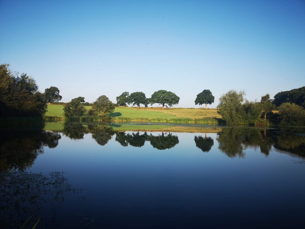 Cicely Mill Pool photo 9