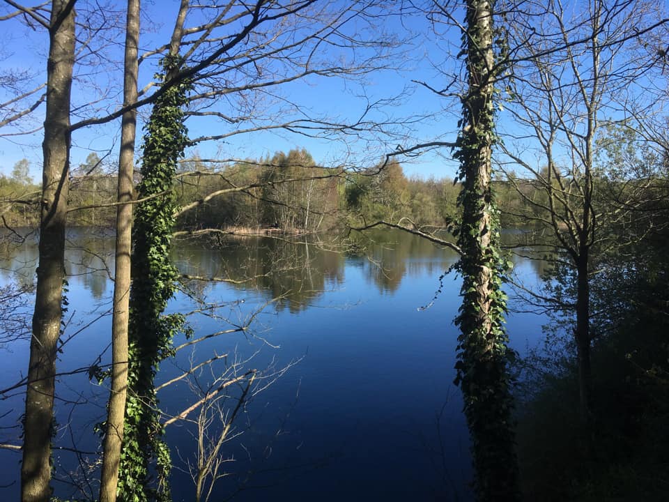  Moore Quarry photo 11