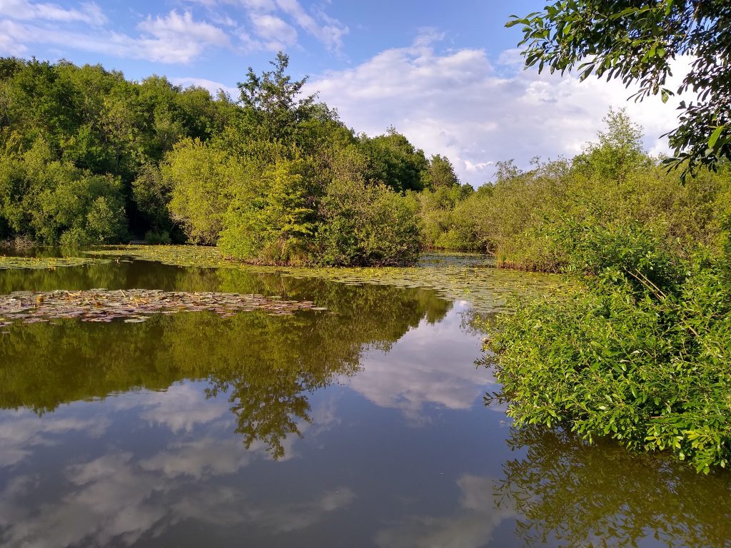 Rixton Clay Pits photo 14