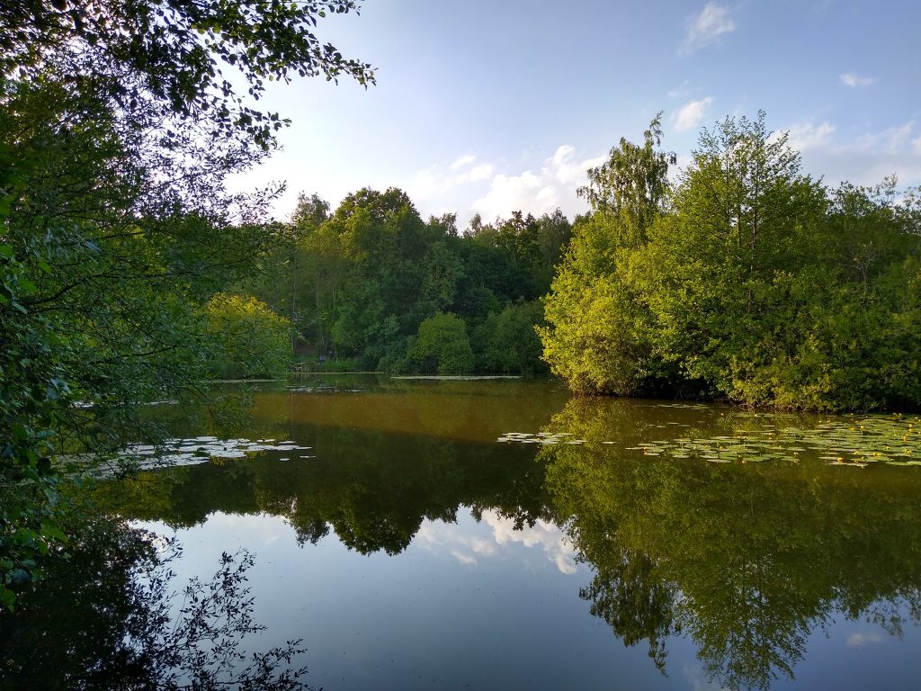 Rixton Clay Pits photo 15