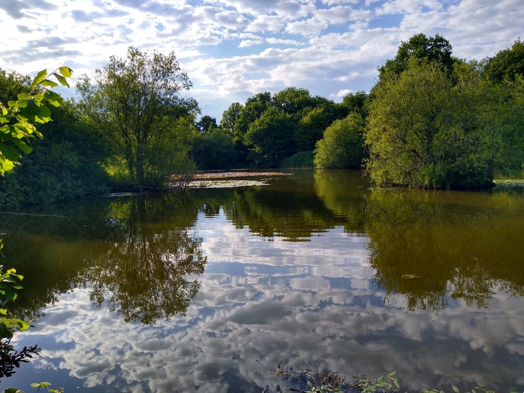 Rixton Clay Pits photo 16