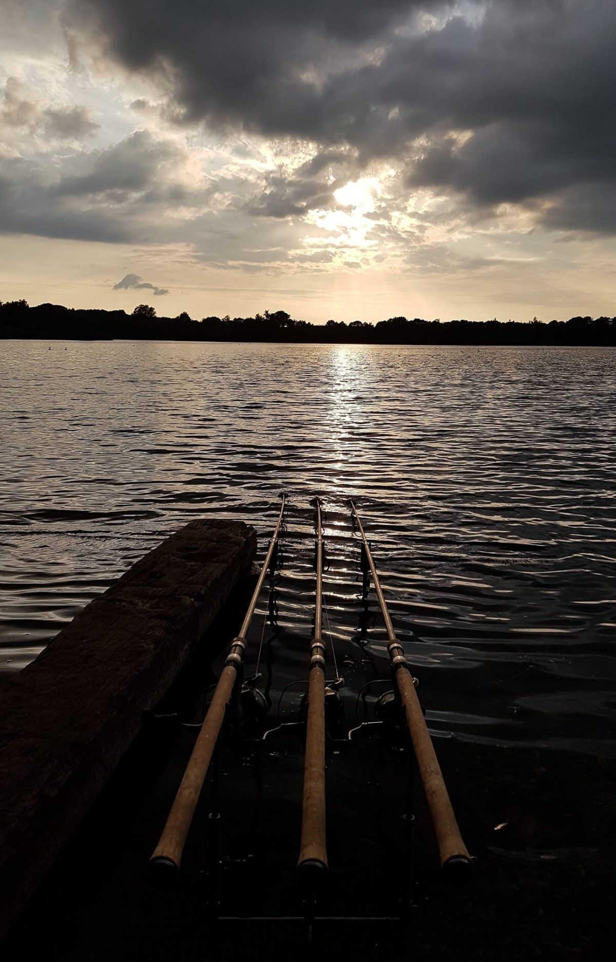 Big Sandiway photo 15