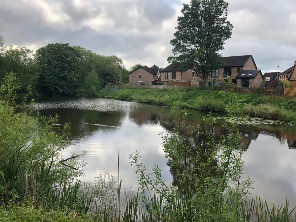  Statham Pool photo 8