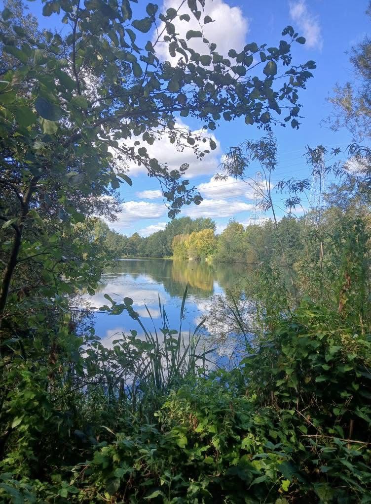 Grey Mist Mere photo 18