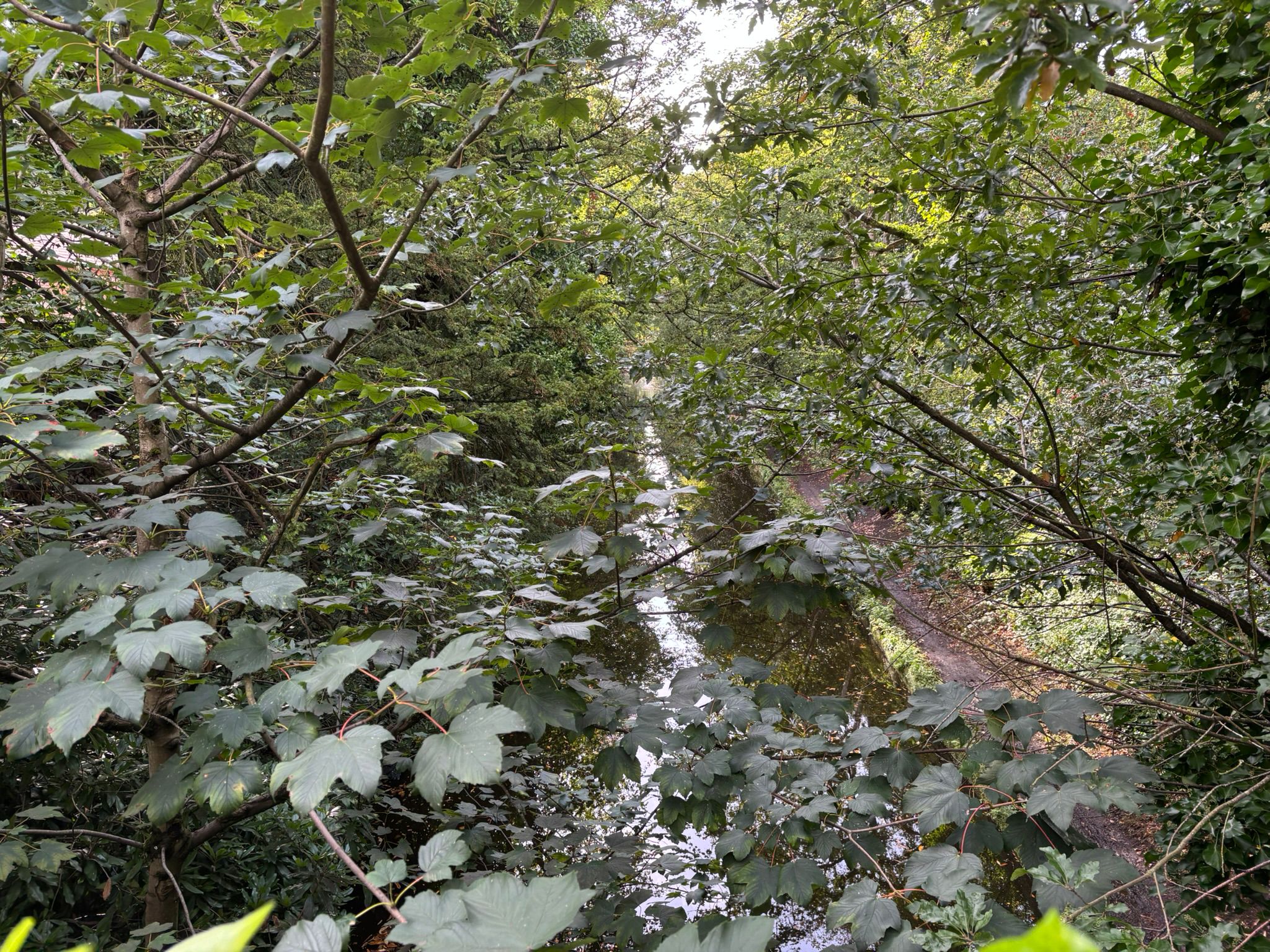 4 Acton Grange Br - Houghs Br (WALTON) photo 8