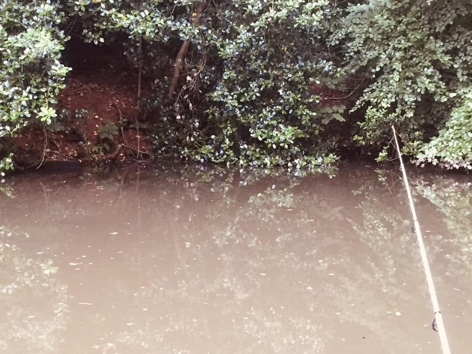 4 Acton Grange Br - Houghs Br (WALTON) photo 15