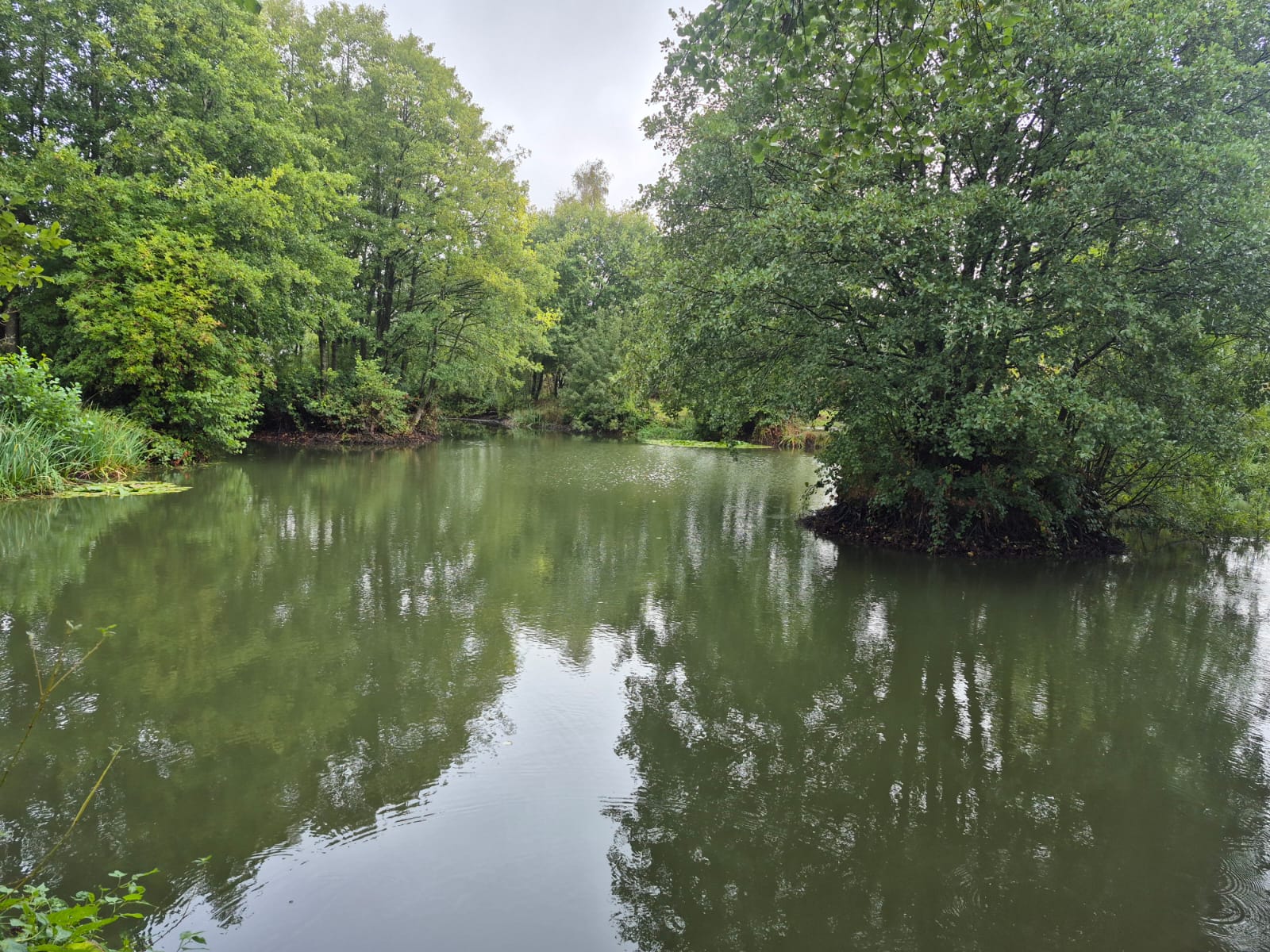  High Legh Fisheries photo 7