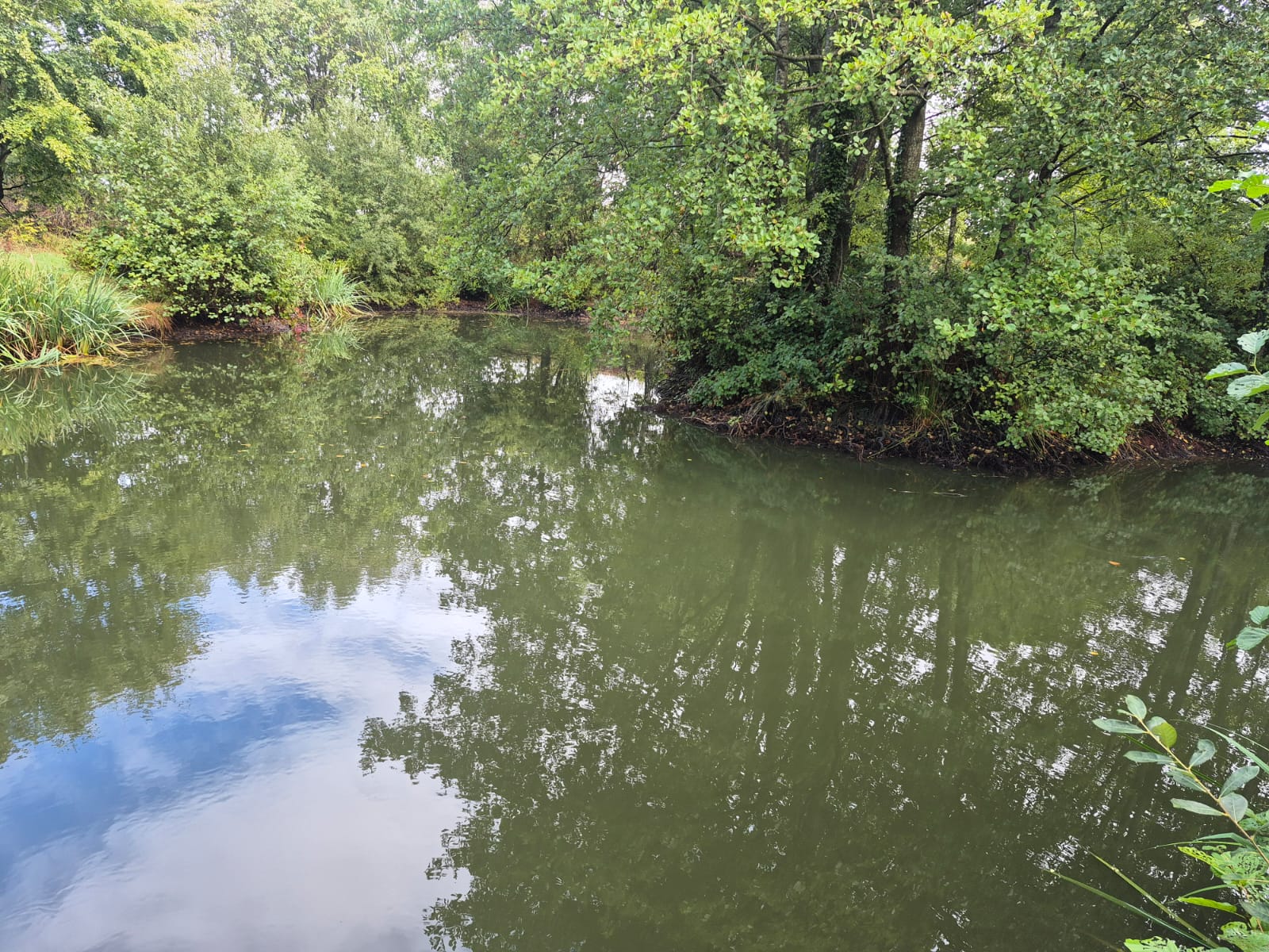  High Legh Fisheries photo 8