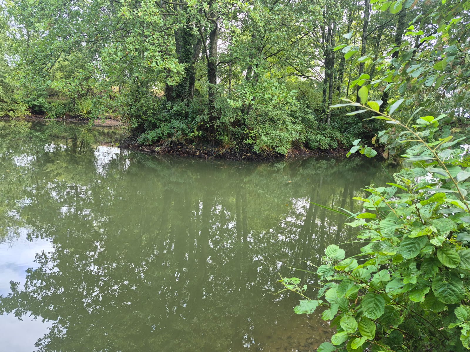  High Legh Fisheries photo 9