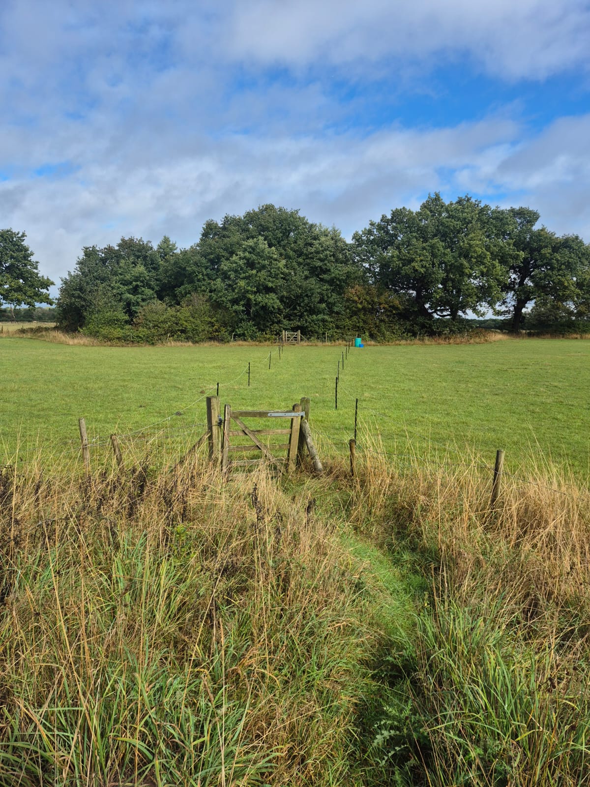  High Legh Fisheries photo 10