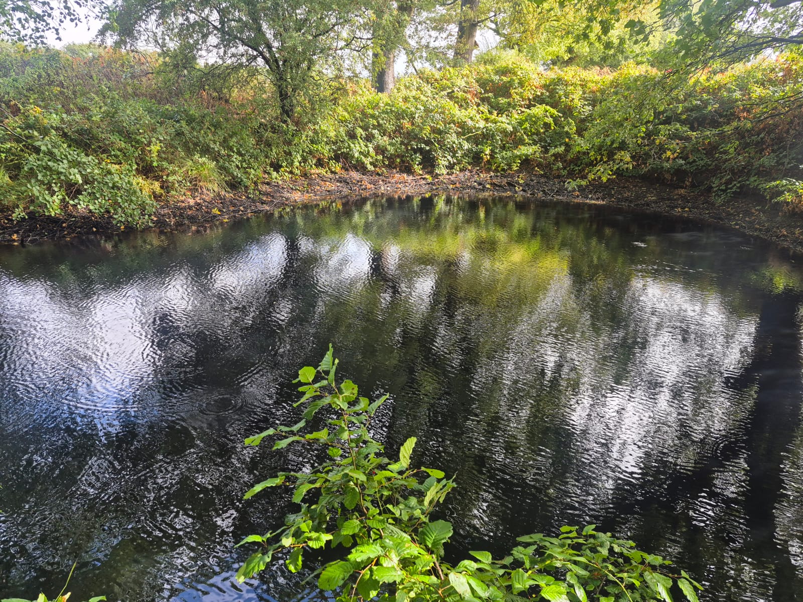  High Legh Fisheries photo 12