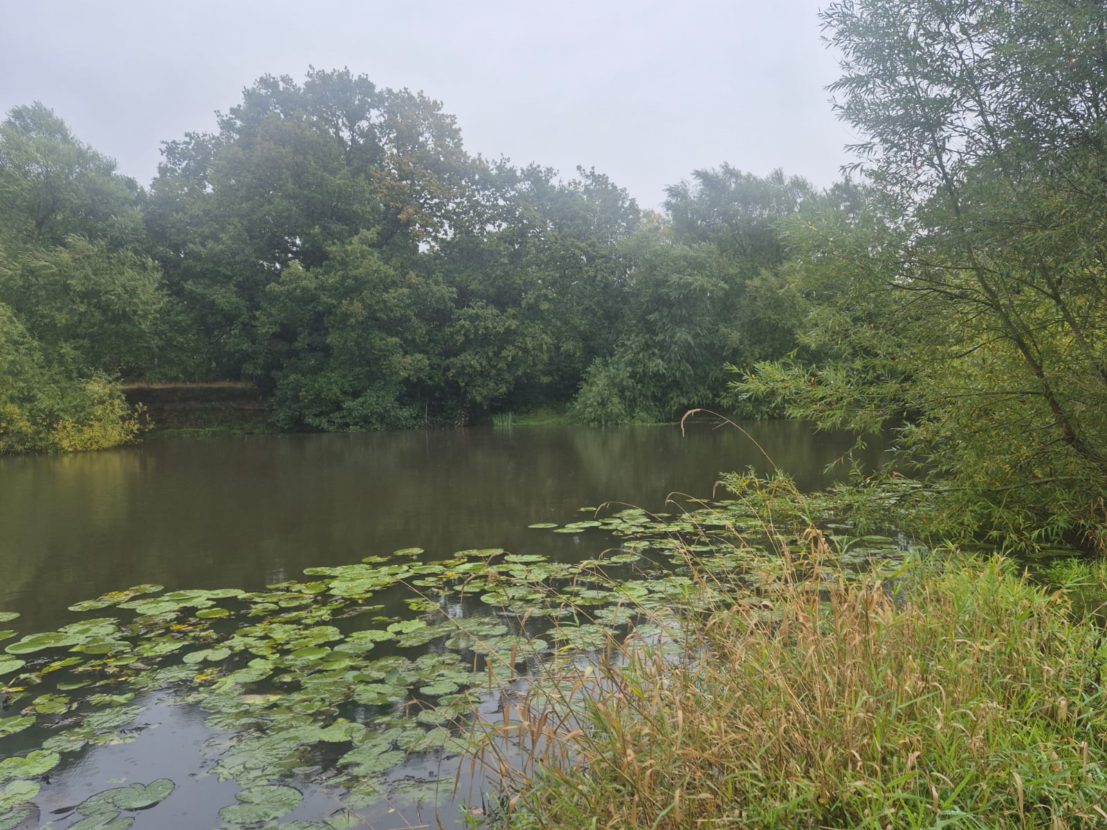  Statham Pool photo 10