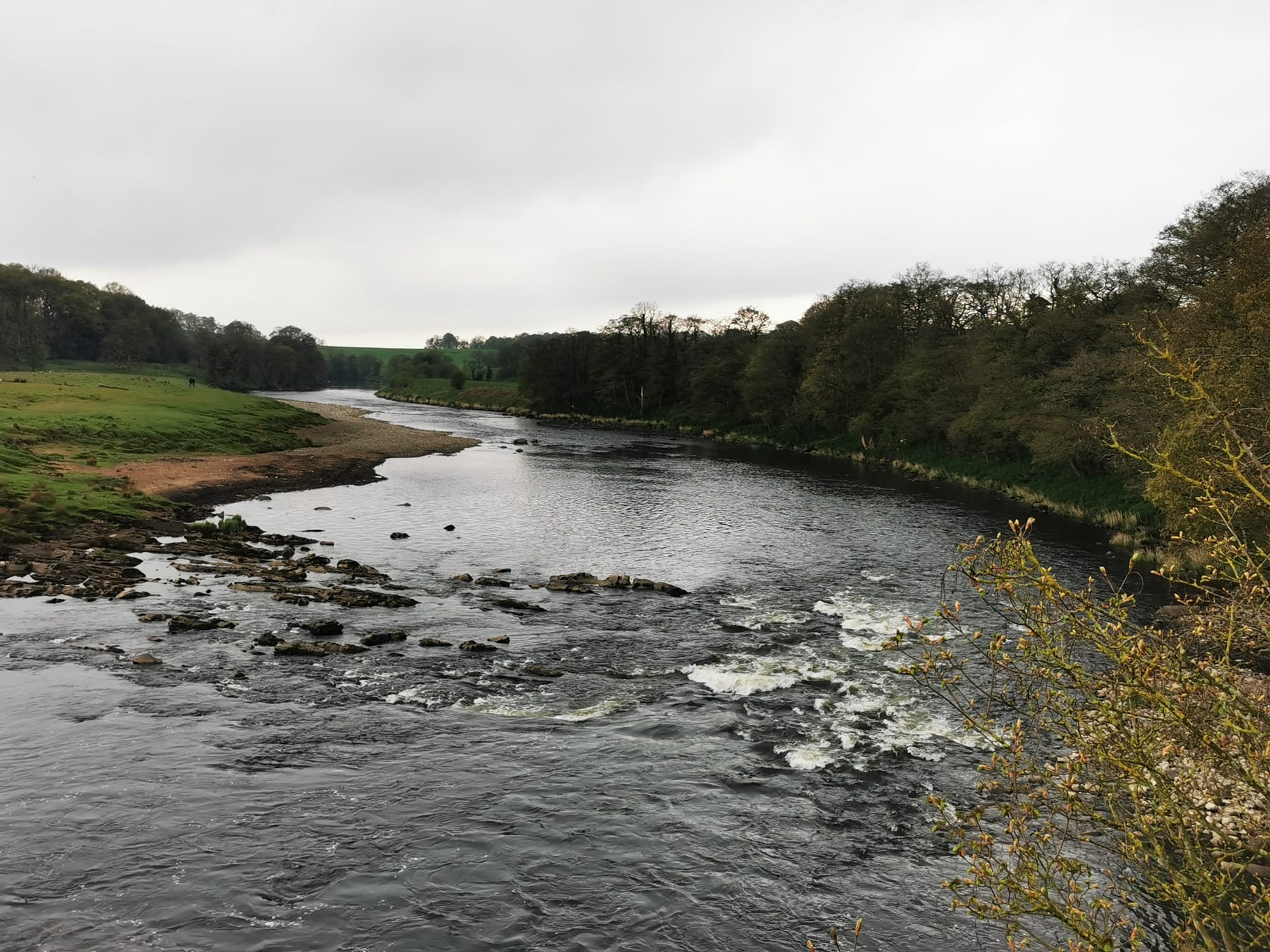 River Ribble – Hurst Green