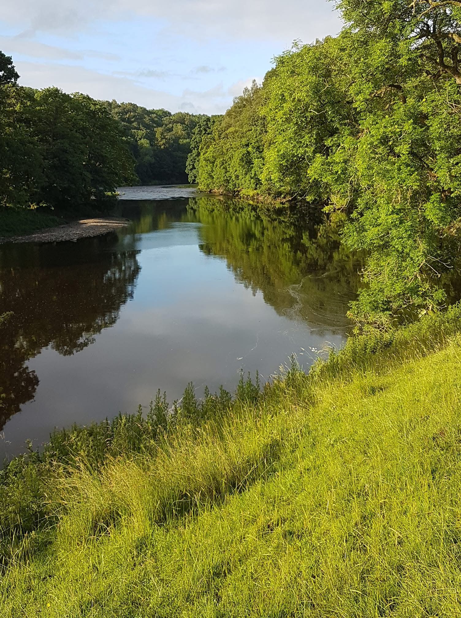 River Ribble – Hurst Green photo 3
