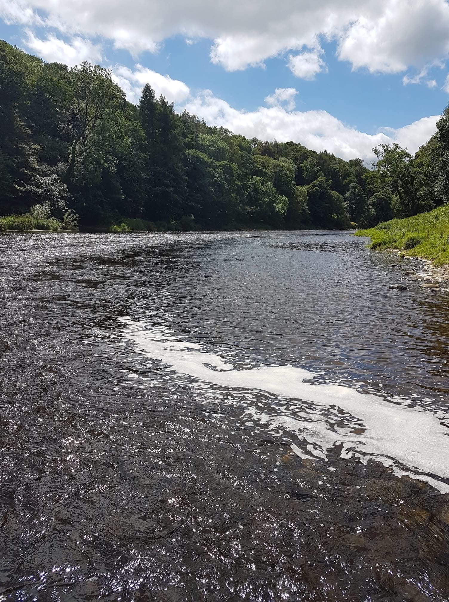 River Ribble – Hurst Green photo 4