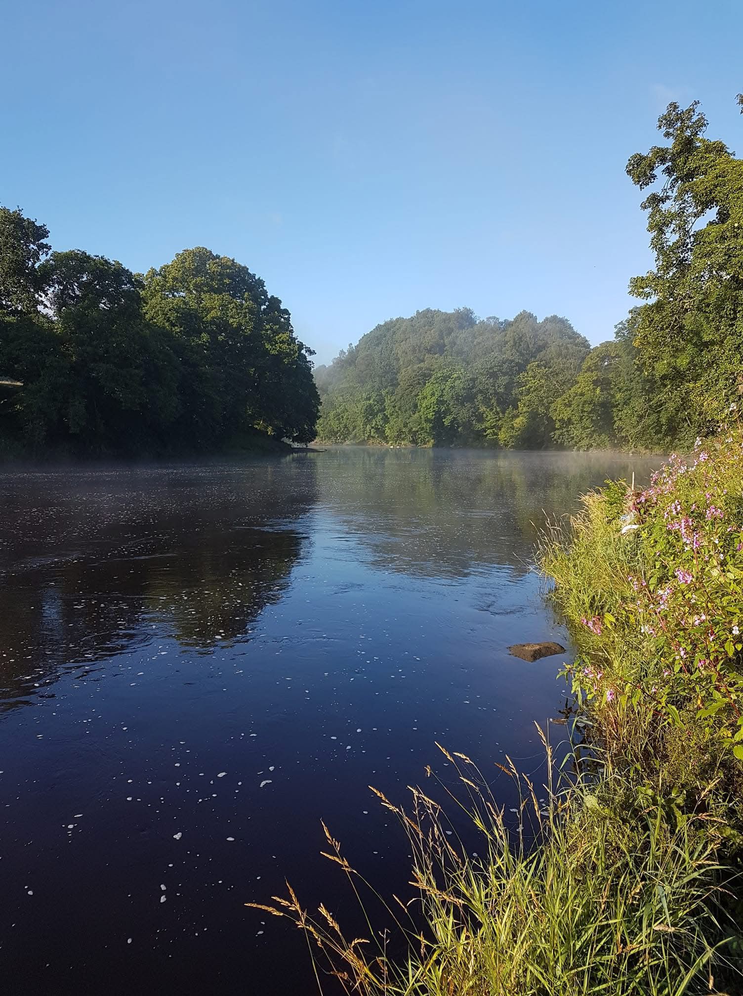River Ribble – Hurst Green photo 6