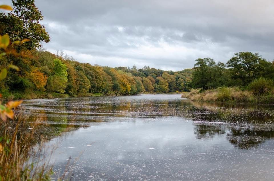 River Ribble – Hurst Green photo 7