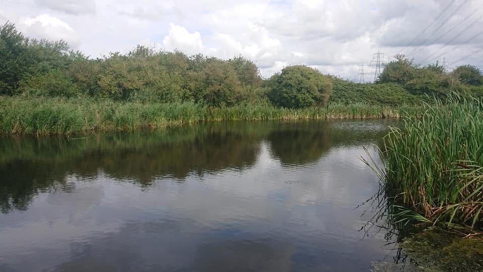 River Weaver - Frodsham Navigation  photo 5