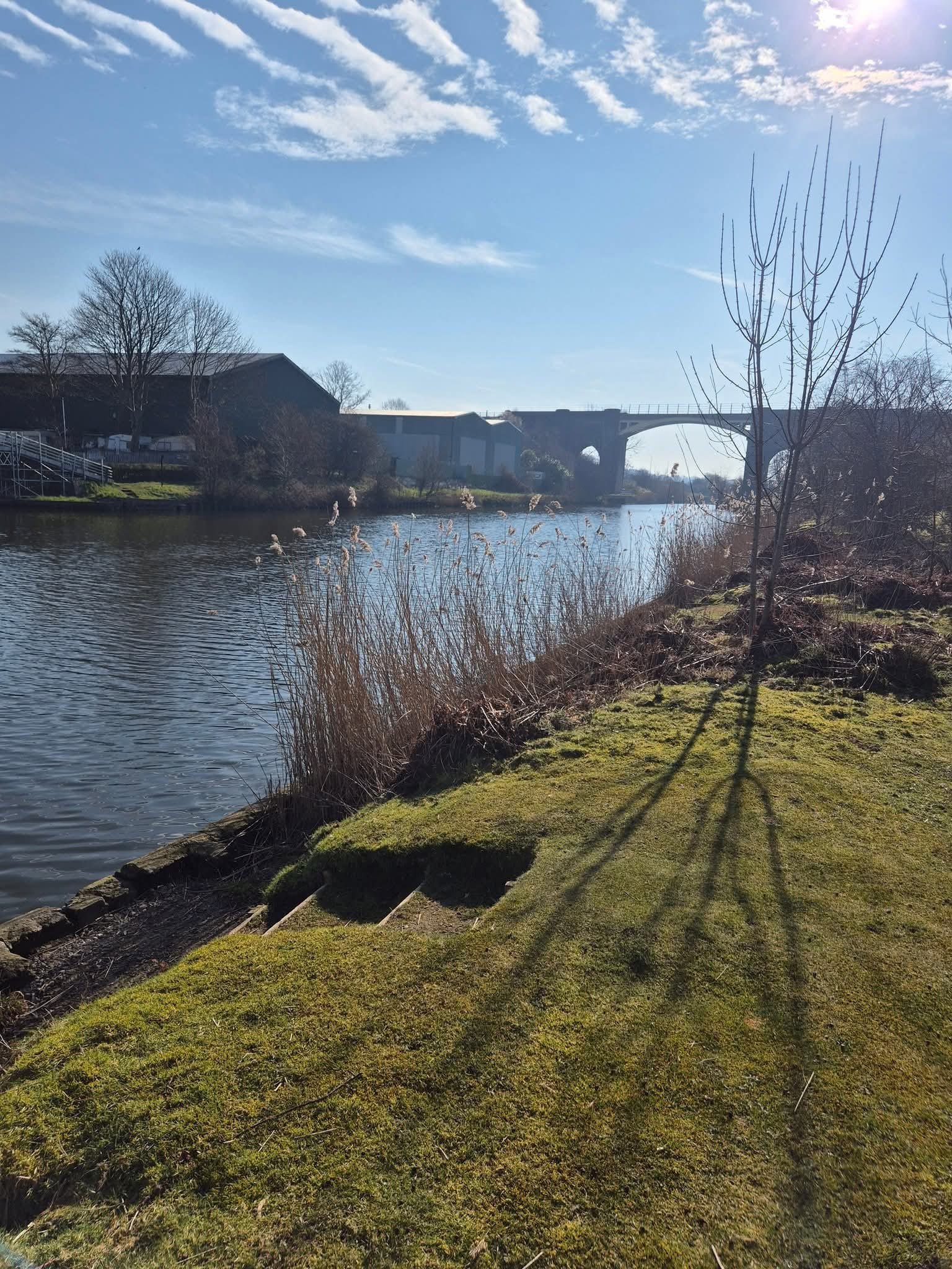 River Weaver - Frodsham Navigation  photo 11