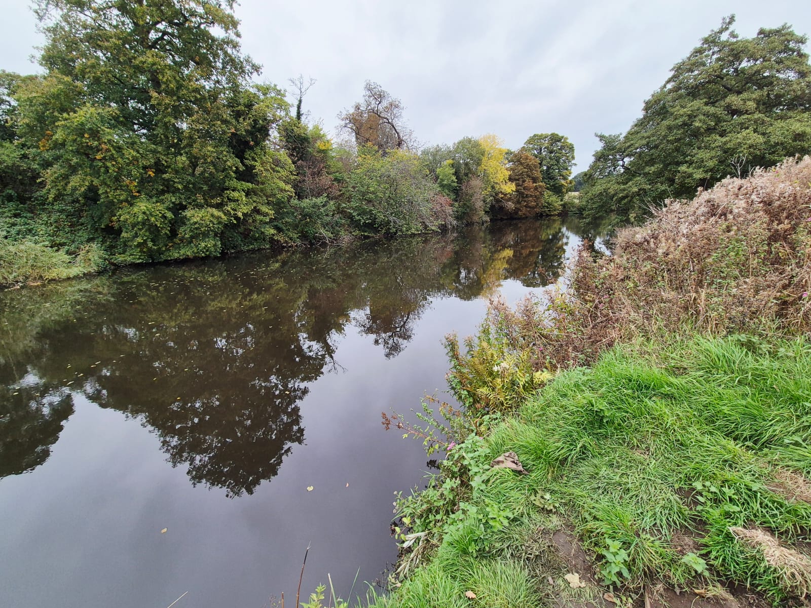 River Derwent – Darley Abbey photo 3