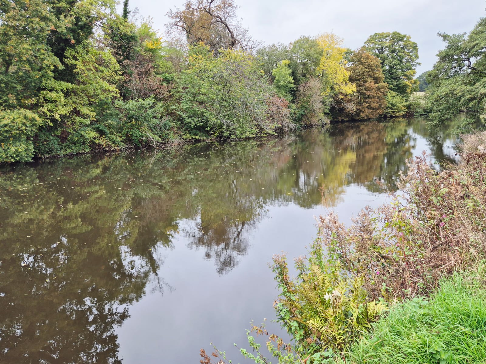 River Derwent – Darley Abbey photo 4