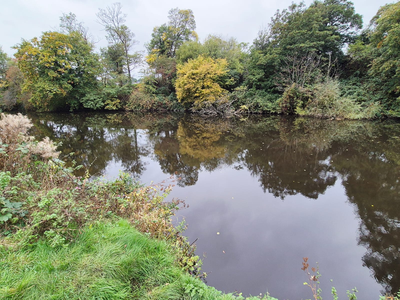 River Derwent – Darley Abbey photo 5