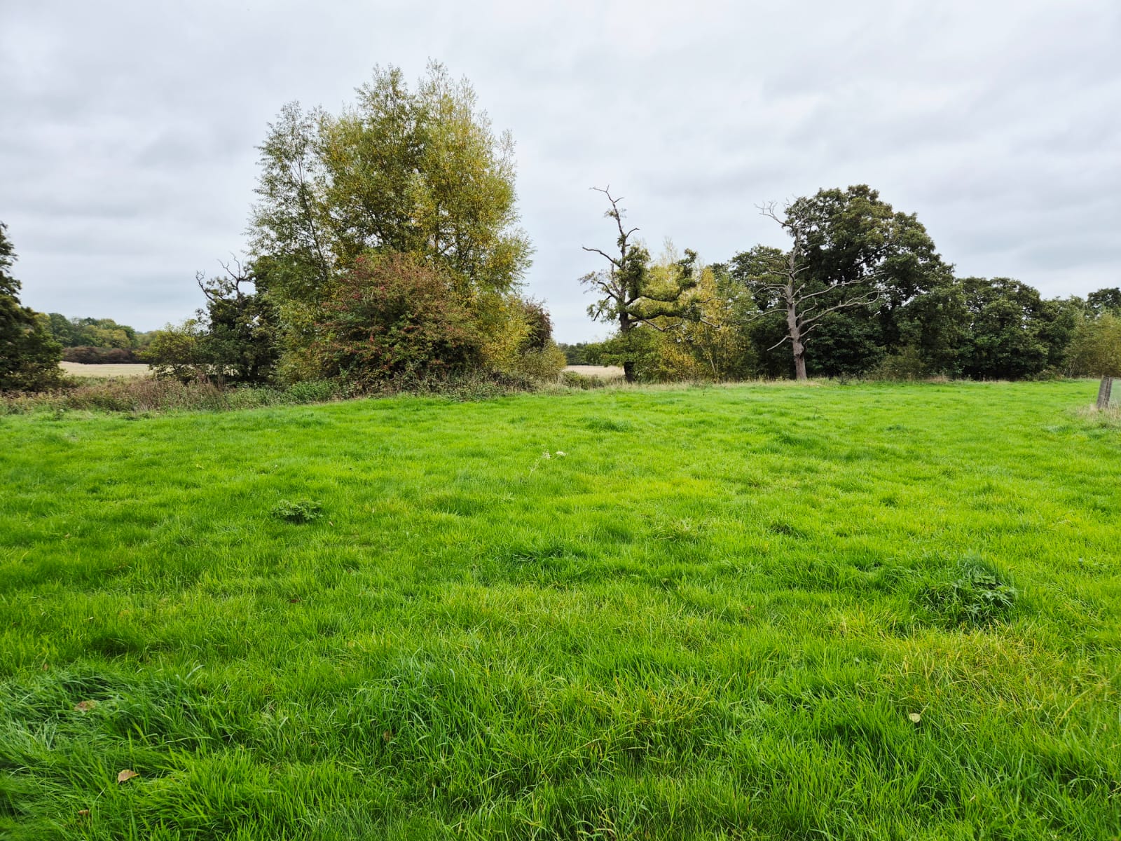 River Derwent – Darley Abbey photo 6