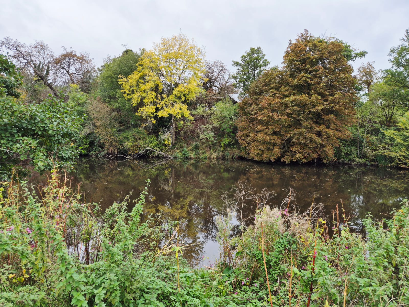River Derwent – Darley Abbey photo 7