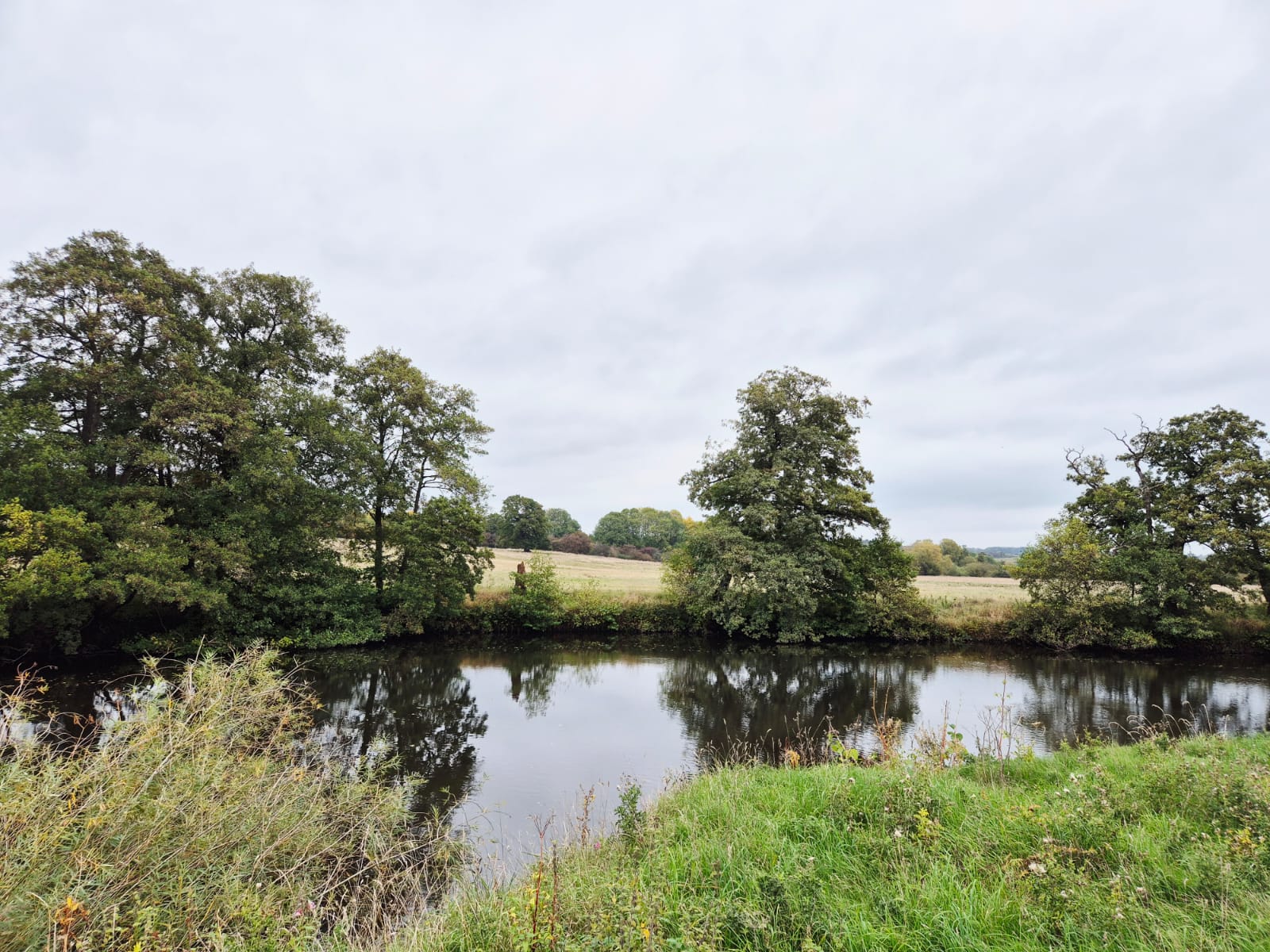 River Derwent – Darley Abbey photo 8