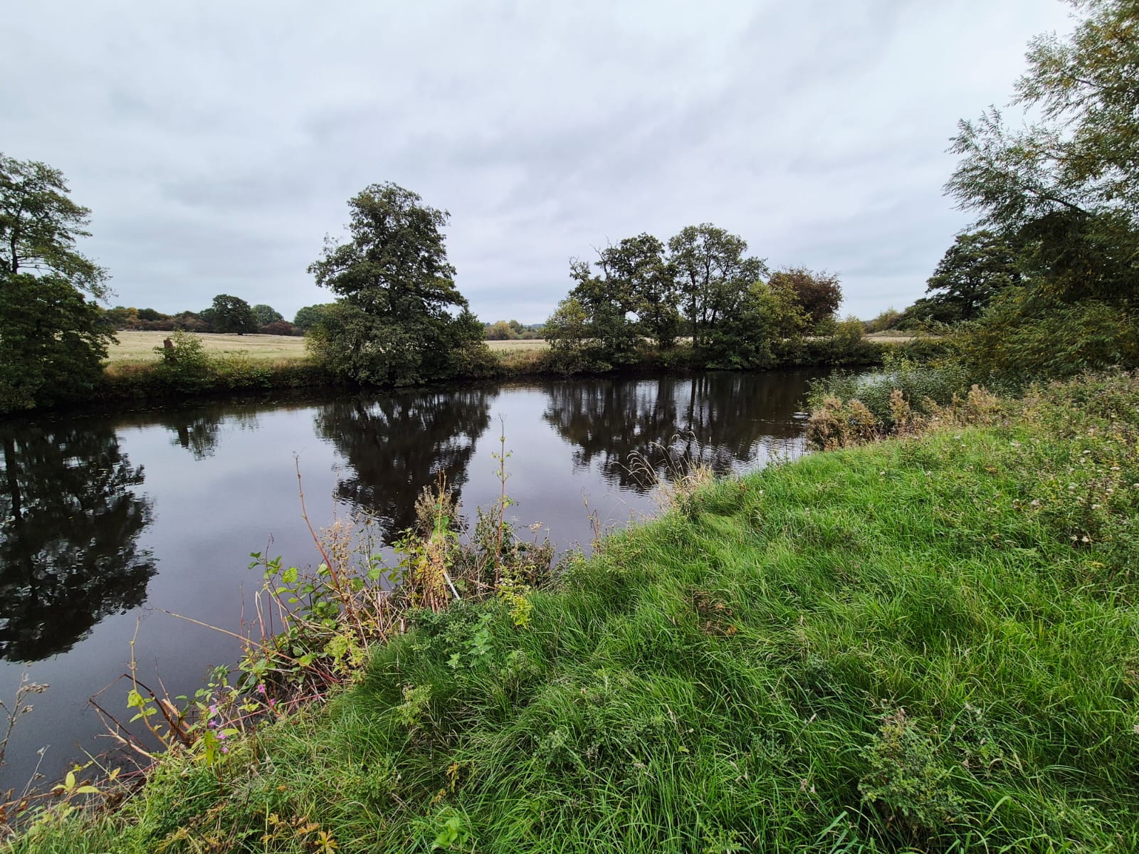 River Derwent – Darley Abbey photo 9