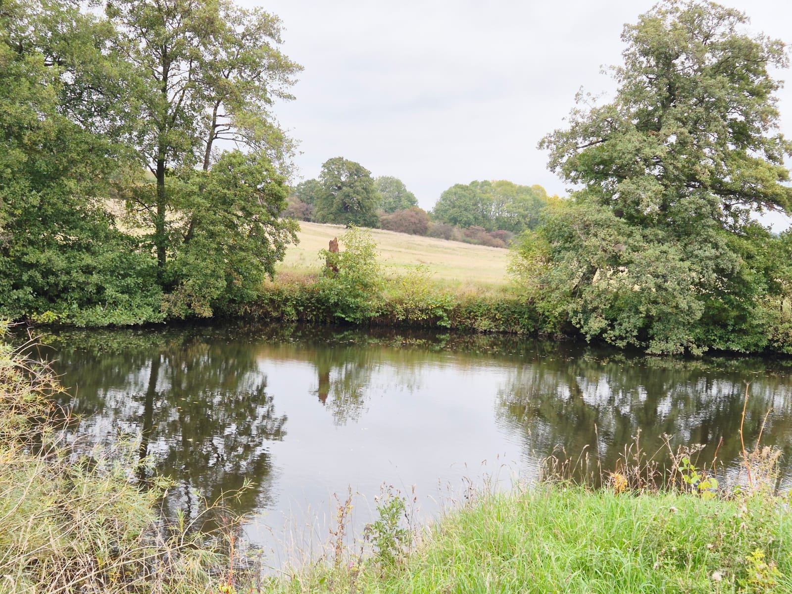River Derwent – Darley Abbey photo 11