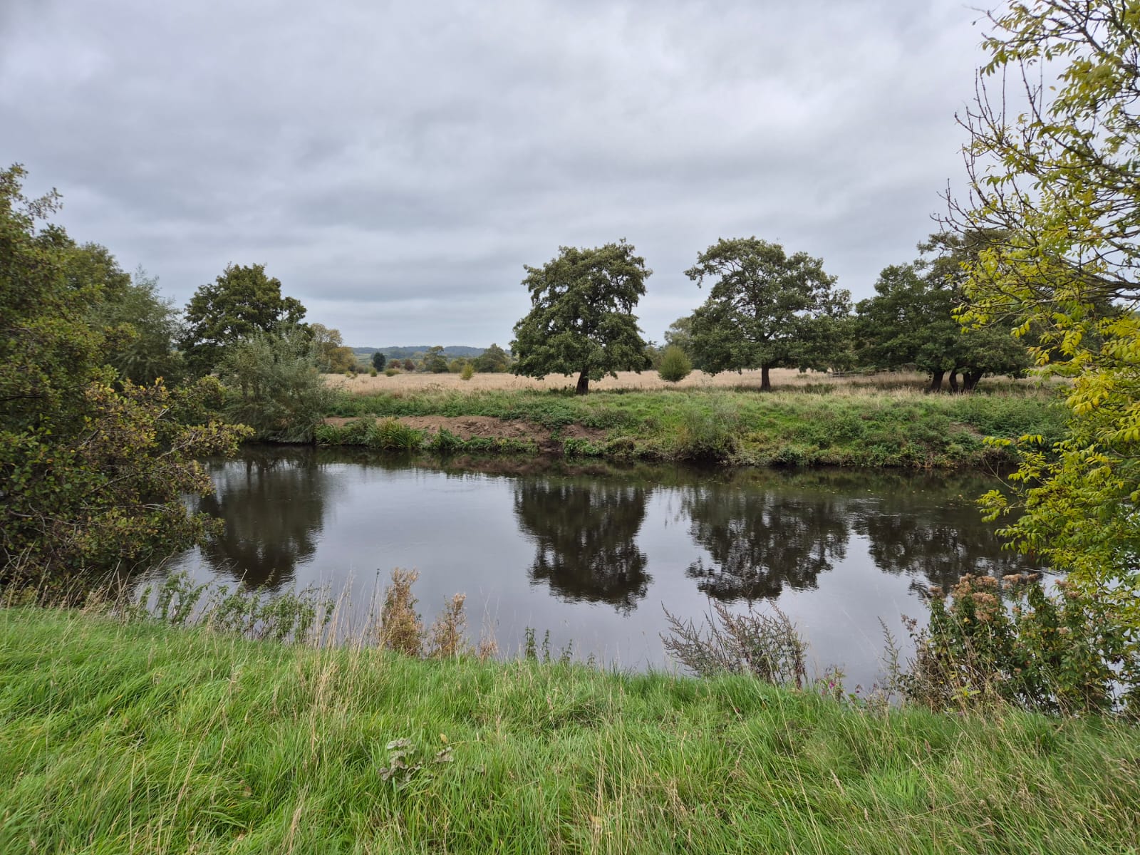 River Derwent – Darley Abbey photo 12