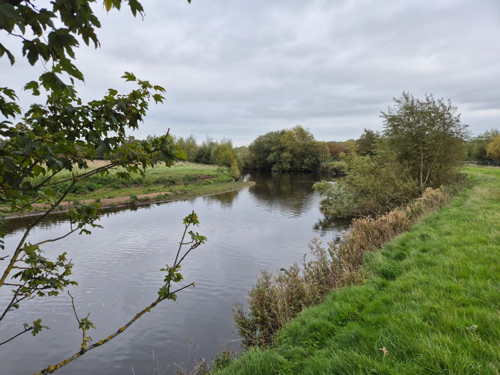 River Derwent – Darley Abbey photo 13