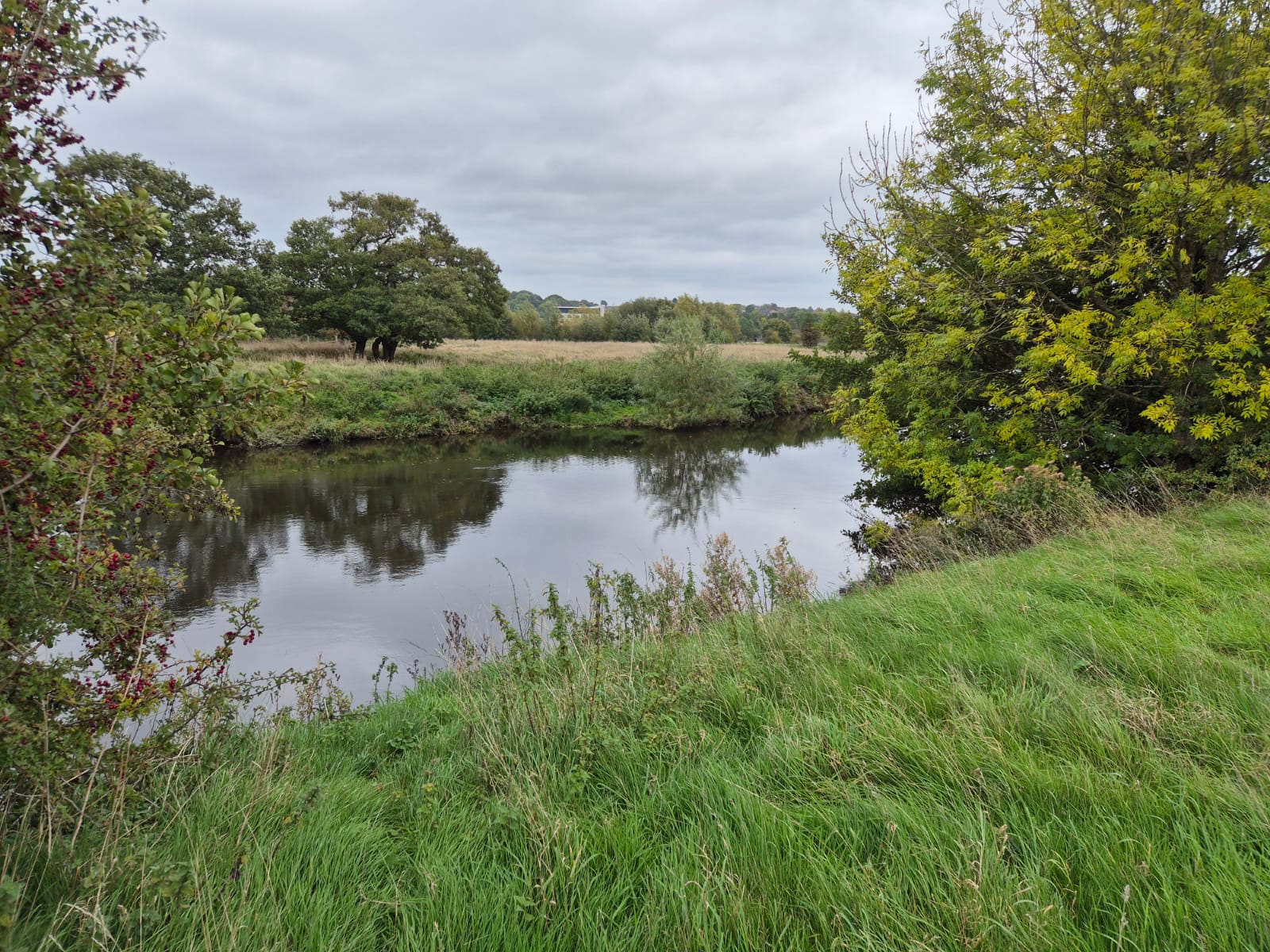 River Derwent – Darley Abbey photo 14